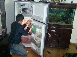 Một số sự cố thường gặp khi sử dụng tủ lạnh